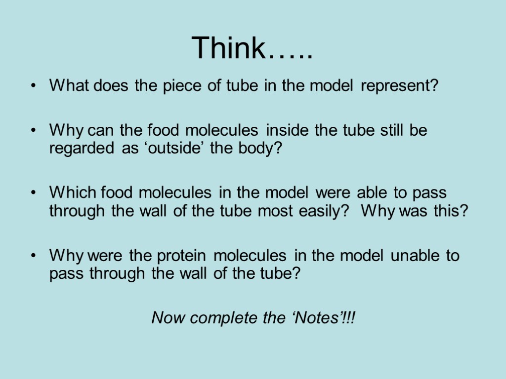 Think….. What does the piece of tube in the model represent? Why can the